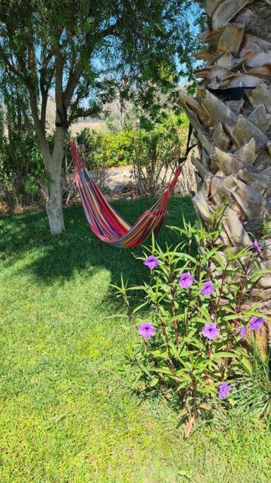 Villa Delle Stelle Con Piscina Leverano Exterior foto